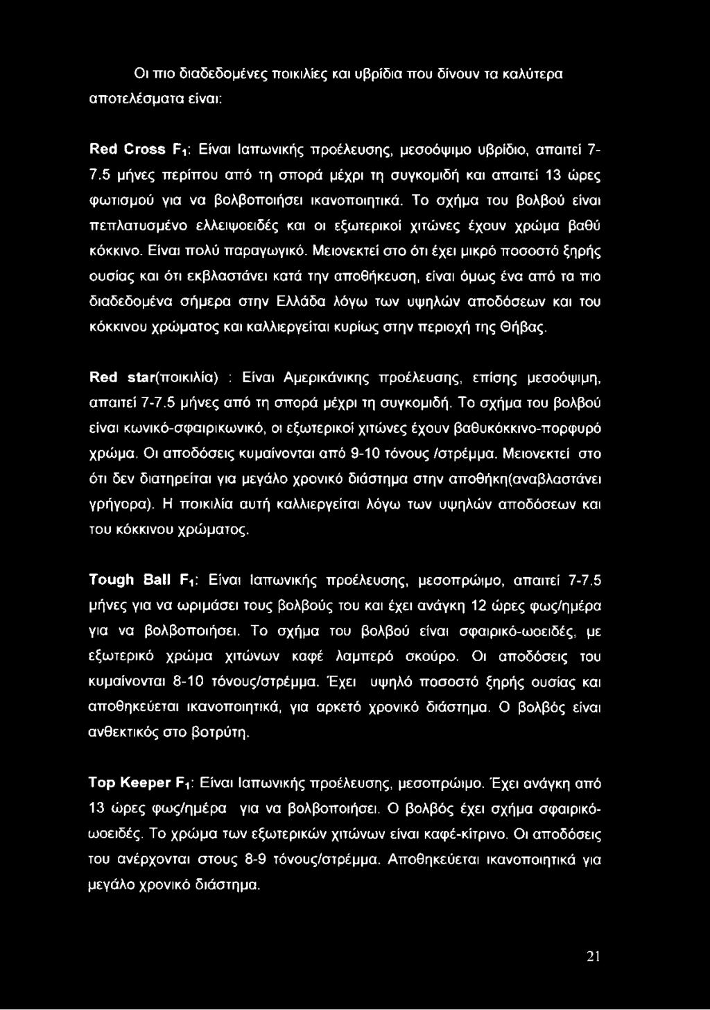 Το σχήμα του βολβού είναι πεπλατυσμένο ελλειψοειδές και οι εξωτερικοί χιτώνες έχουν χρώμα βαθύ κόκκινο. Είναι πολύ παραγωγικό.