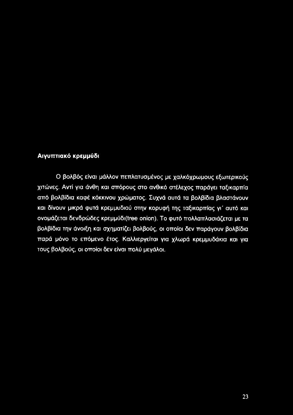 Αντί για άνθη και σπόρους στο ανθικό στέλεχος παράγει ταξικαρπία από