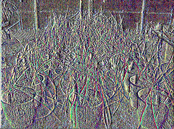στις 01-3-2006)