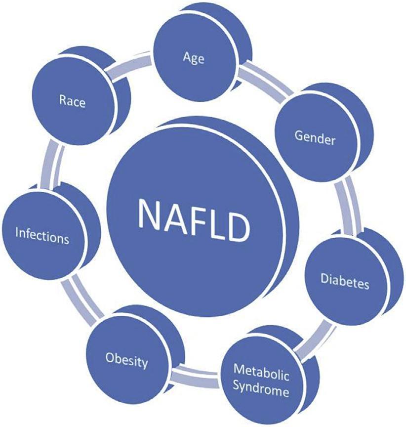 χιμα 1.3.1 : Κφριοι παράγοντεσ κινδφνου τθσ NAFLD 10. Όςον αφορά τθν θλικία, ζχει παρατθρθκεί ότι θ NAFLD εμφανίηεται ςε ςθμαντικά υψθλότερα ποςοςτά ςτουσ θλικιομζνουσ 7.