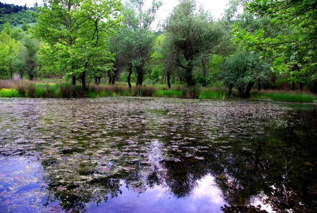 Εμπειρική παρατήρηση μικρών υγροτόπων ευρύτερης περιοχής Υγρότοπος Λωξάδας: Βρίσκεται σε υψόμετρο περίπου 150 m, στις παρυφές της οροσειράς