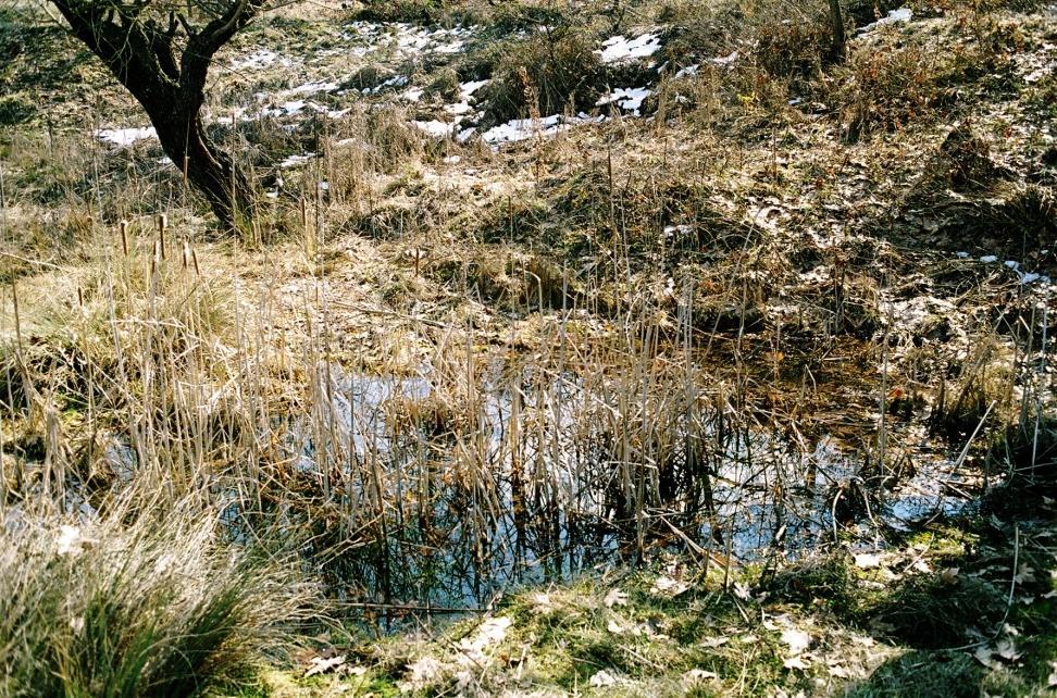 Το ανάγλυφο του εδάφους επιτρέπει την ύπαρξη μιας κύριας υδατοσυλλογής στο χαμηλότερο τμήμα του υγρότοπου και 2-3 μικρότερων σε θέσεις ανάντη