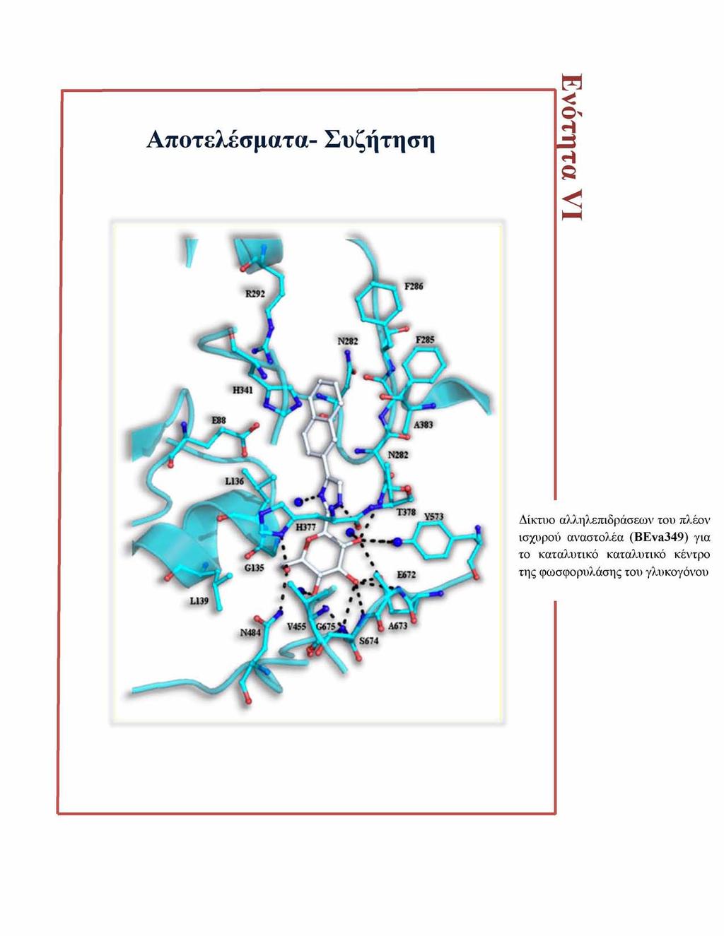 Αποτελέσματα- Συζήτηση Δίκτυο αλληλεπιδράσεων του πλέον ισχυρού αναστολέα