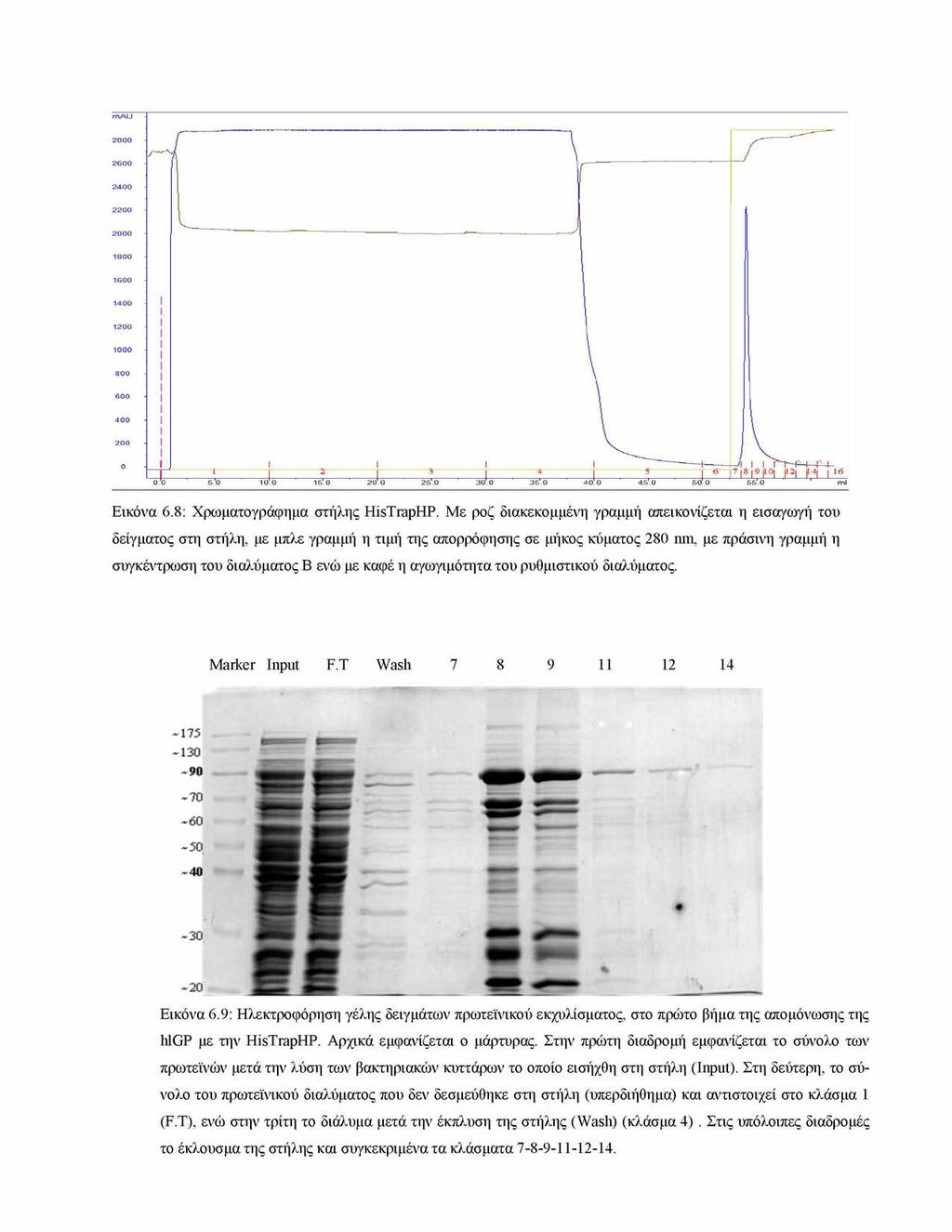 Εικόνα 6.8: Χρωματογράφημα στήλης HisTrapHP.