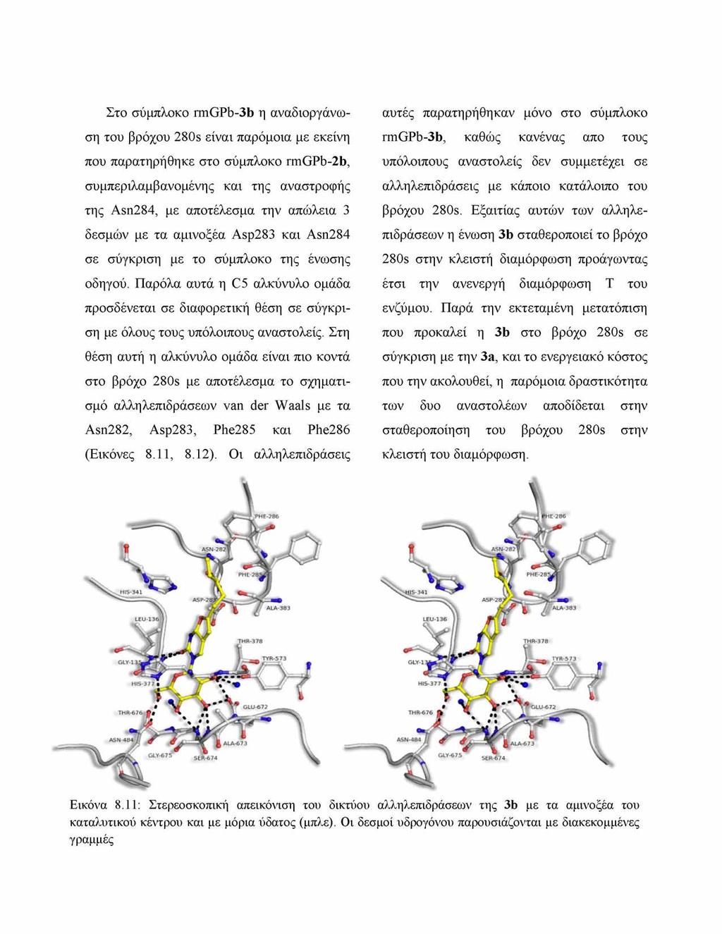 Στο σύμπλοκο rmgpb-3b η αναδιοργάνωση του βρόχου 280s είναι παρόμοια με εκείνη που παρατηρήθηκε στο σύμπλοκο rmgpb-2b, συμπεριλαμβανομένης και της αναστροφής της Asn284, με αποτέλεσμα την απώλεια 3