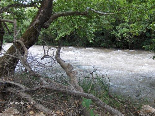 Το υδροηλεκτρικό έργο του Λάδωνα είναι έργο πολλαπλού σκοπού και εκτός από την παραγωγή ηλεκτρικής ενέργειας, εξυπηρετεί κατά τη θερινή περίοδο ανάγκες άρδευσης των γεωργικών καλλιεργειών.