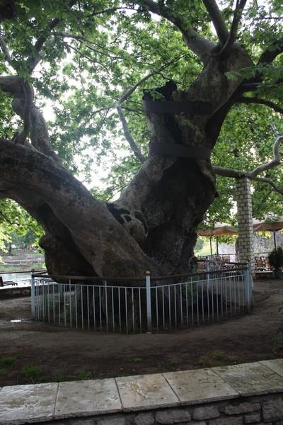 3. Η Παναγία της Ροδιάς ( Βίγλα ) Βρίσκεται στις όχθες της ομώνυμης λιμνοθάλασσας, κοντά στο χωριό Βίγλα. Ο αρχικός ναός κατεδαφίστηκε το 860 και χτίστηκε ο σημερινός.