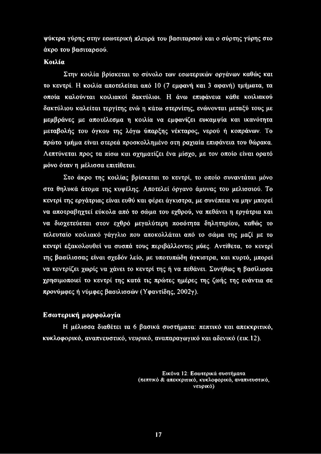 Η άνω επιφάνεια κάθε κοιλιακού δακτύλιου καλείται τεργίτης ενώ η κάτω στερνίτης, ενώνονται μεταξύ τους με μεμβράνες με αποτέλεσμα η κοιλία να εμφανίζει ευκαμψία και ικανότητα μεταβολής του όγκου της