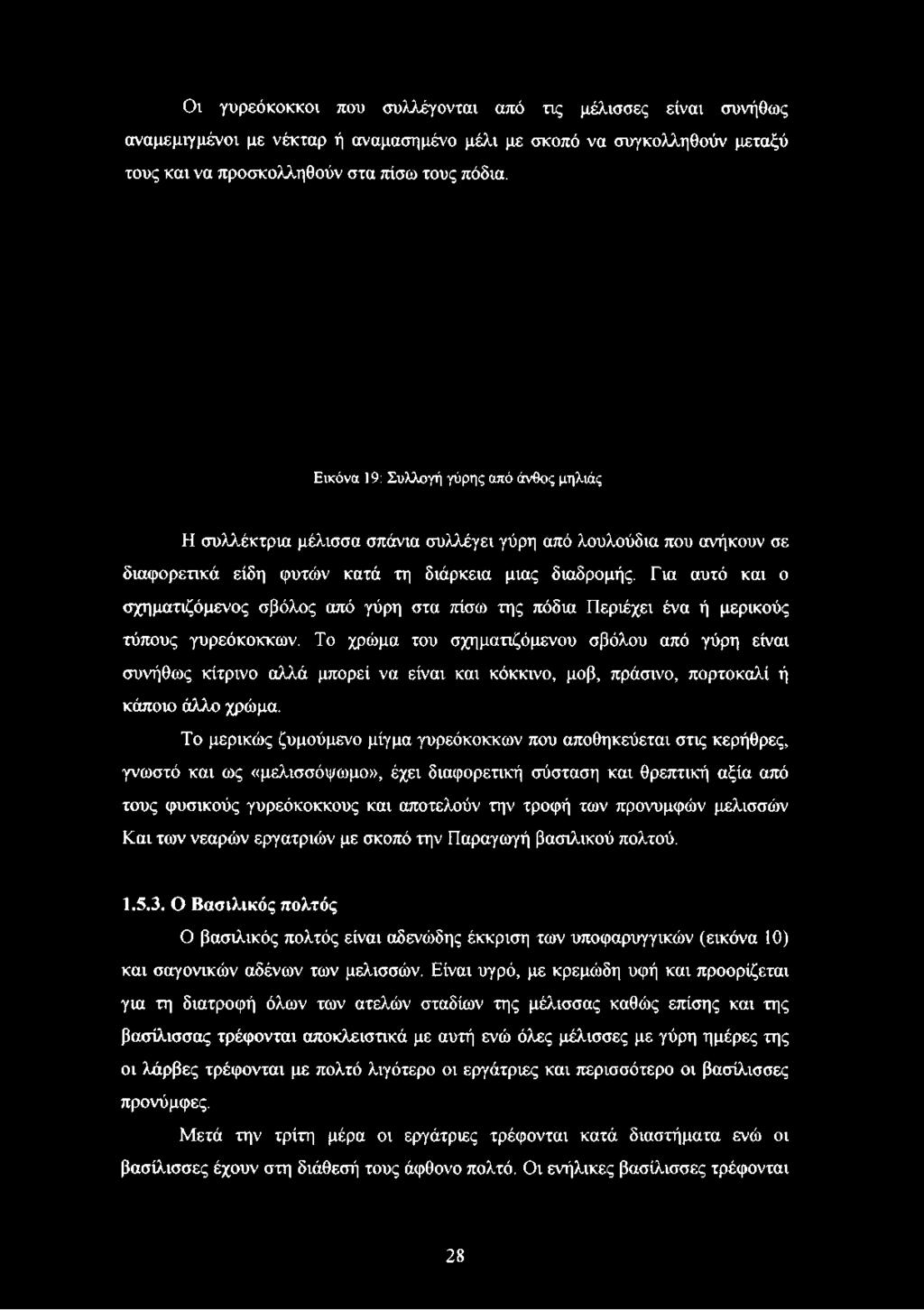 Για αυτό και ο σχηματιζόμενος σβόλος από γύρη στα πίσω της πόδια Περιέχει ένα ή μερικούς τύπους γυρεόκοκκων.