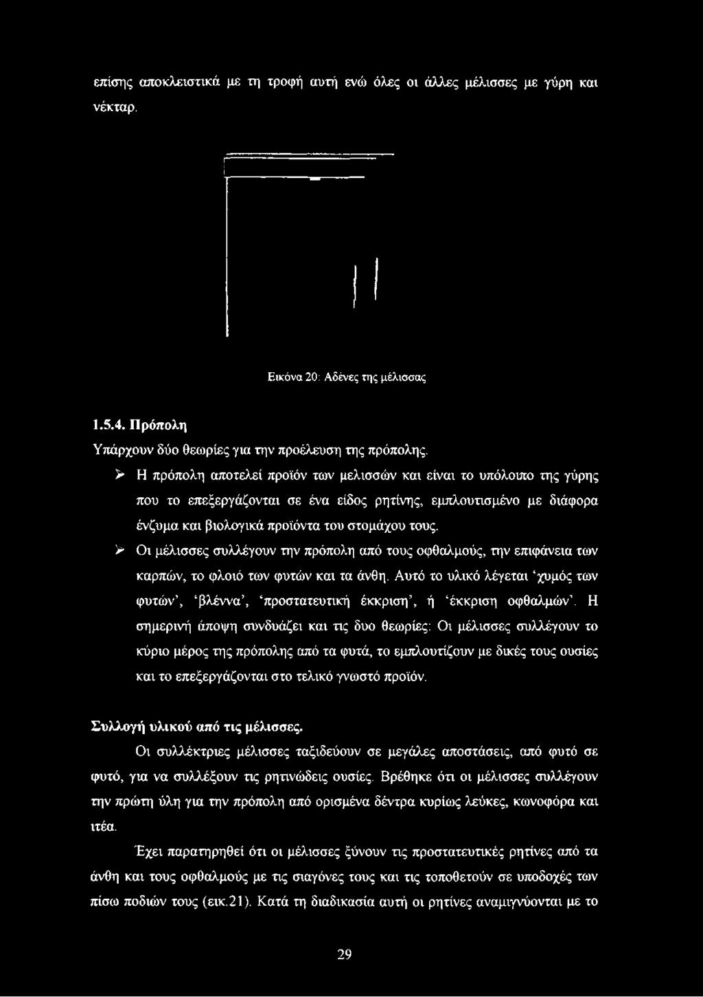 επίσης αποκλειστικά με τη τροφή αυτή ενώ όλες οι άλλες μέλισσες με γύρη και νέκταρ. Εικόνα 20: Αδένες της μέλισσας 1.5.4. Πρόπολη Υπάρχουν δύο θεωρίες για την προέλευση της πρόπολης.