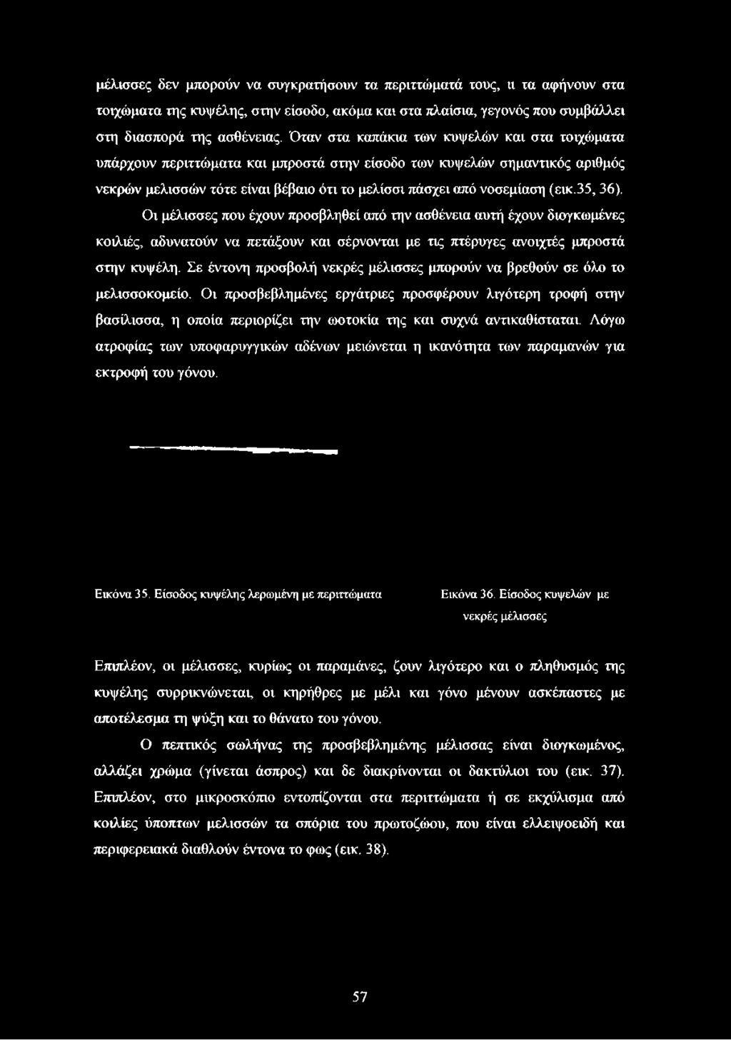 νοσεμίαση (εικ.35, 36). Οι μέλισσες που έχουν προσβληθεί από την ασθένεια αυτή έχουν διογκωμένες κοιλιές, αδυνατούν να πετάξουν και σέρνονται με τις πτέρυγες ανοιχτές μπροστά στην κυψέλη.