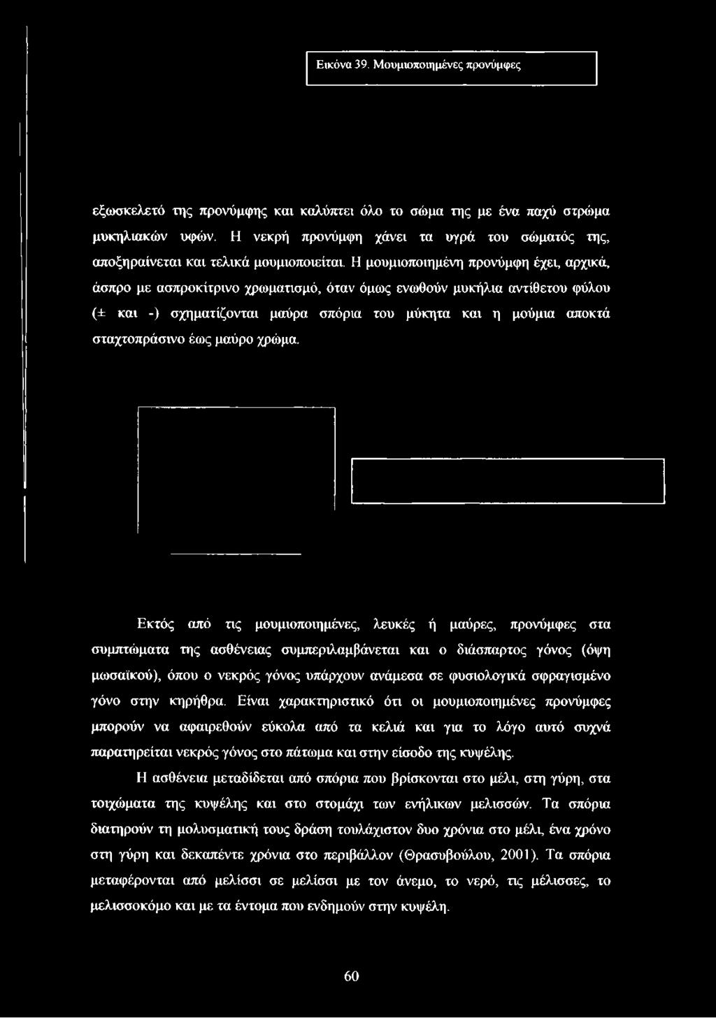 Η μουμιοποιημένη προνύμφη έχει, αρχικά, άσπρο με ασπροκίτρινο χρωματισμό, όταν όμως ενωθούν μυκήλια αντίθετου φύλου (± και -) σχηματίζονται μαύρα σπόρια του