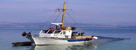 οργανωμένοι σε 13 Επαγγελματικούς Αλιευτικούς Συλλόγους. Ακόμη, στην Κέρκυρα έχει την έδρα της και η Ομοσπονδία Επαγγελματιών Αλιέων παράκτιας αλιείας.