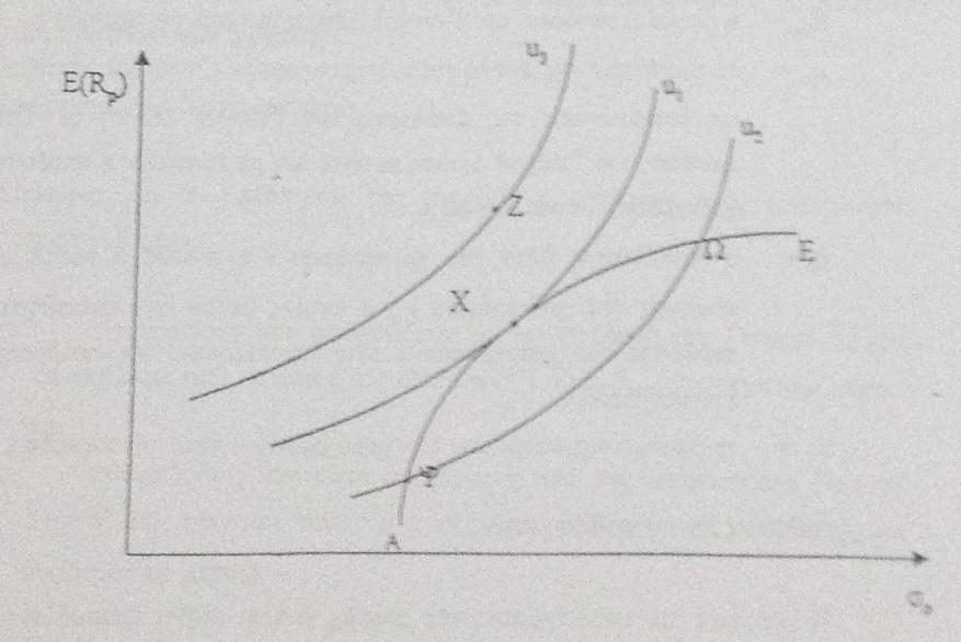 20 Διάγραμμα 4: επιλογή βέλτιστου χαρτοφυλακίου Η διασπορά της απόδοσης του χαρτοφυλακίου: σ 2 (R p )= σ 2 (χ 1 R 1 *x 2 R 2 ) [εξίσωση 1.