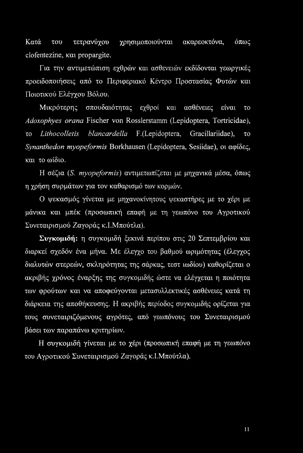 Μικρότερης σπουδαιότητας εχθροί και ασθένειες είναι το Adoxophyes orana Fischer von Rosslerstamm (Lepidoptera, Tortricidae), το Lithocolletis blancardella F.