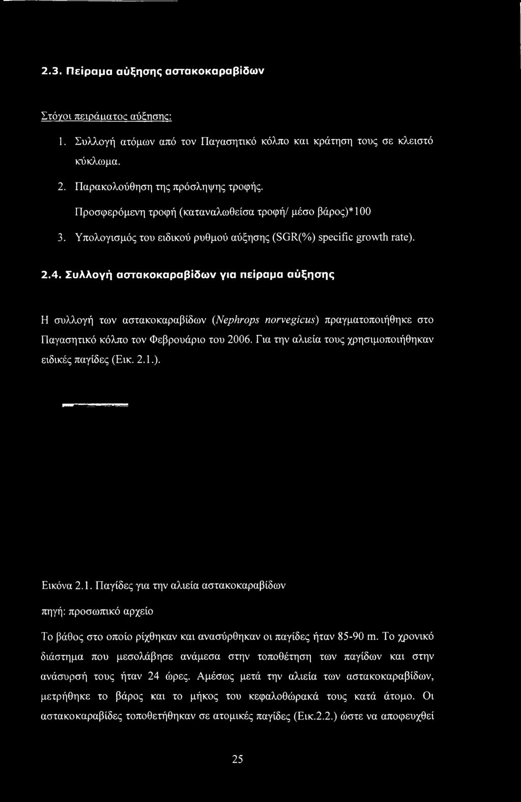 Συλλογή αστακοκαραβίδων για πείραμα αύξησης Η συλλογή των αστακοκαραβίδων (Nephrops norvegicus) πραγματοποιήθηκε στο Παγασητικό κόλπο τον Φεβρουάριο του 2006.