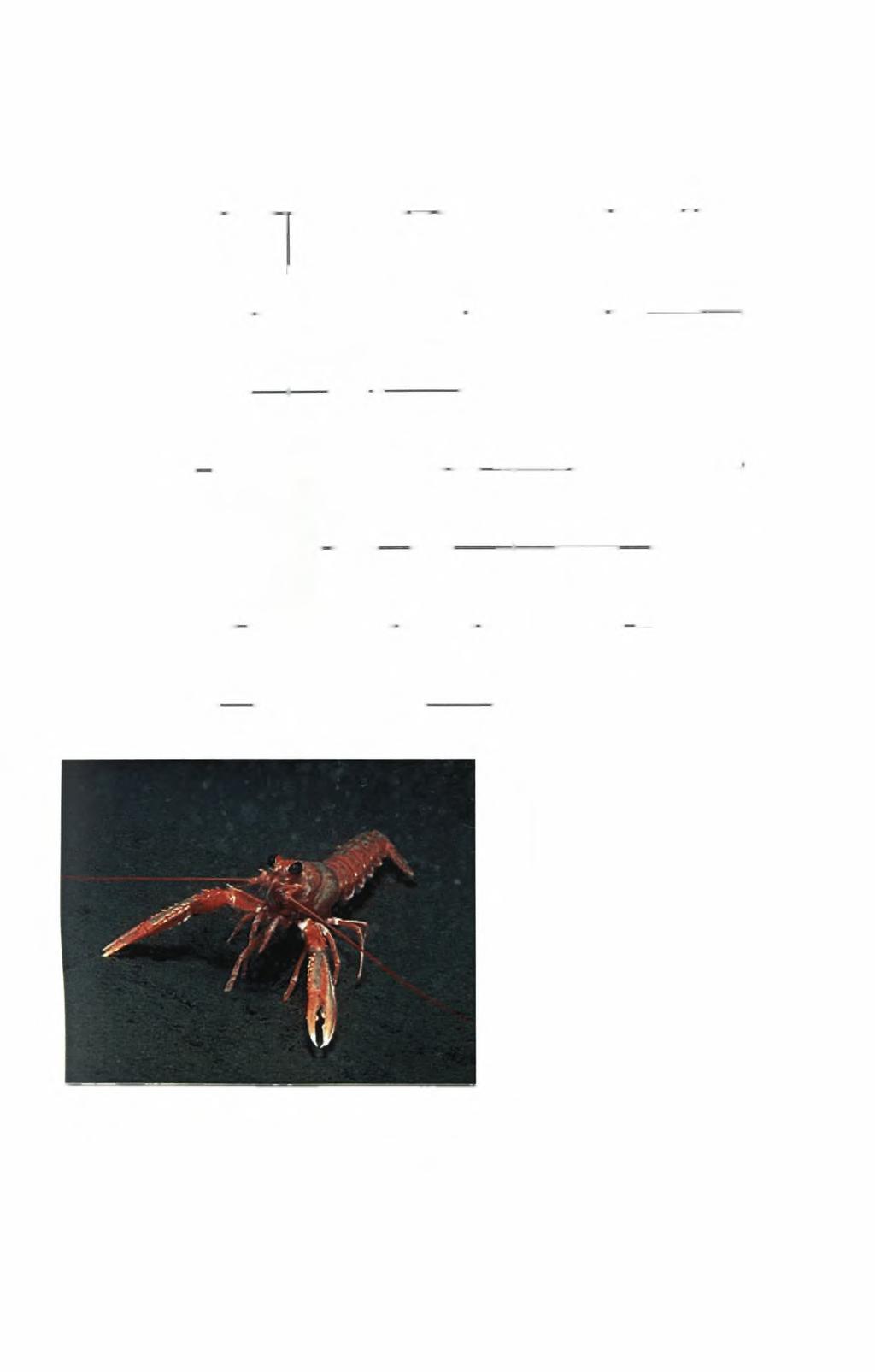 Πίνακας 1.