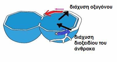 Ερώτηση 2 σελ. 89 σχολικού βιβλίου Ερώτηση 5 σελ. 90 σχολικού βιβλίου 9.