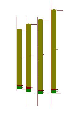 Εικόνα 4.54 Γεωλογικές στήλες σε τρισδιάστατη μορφή 4.2.