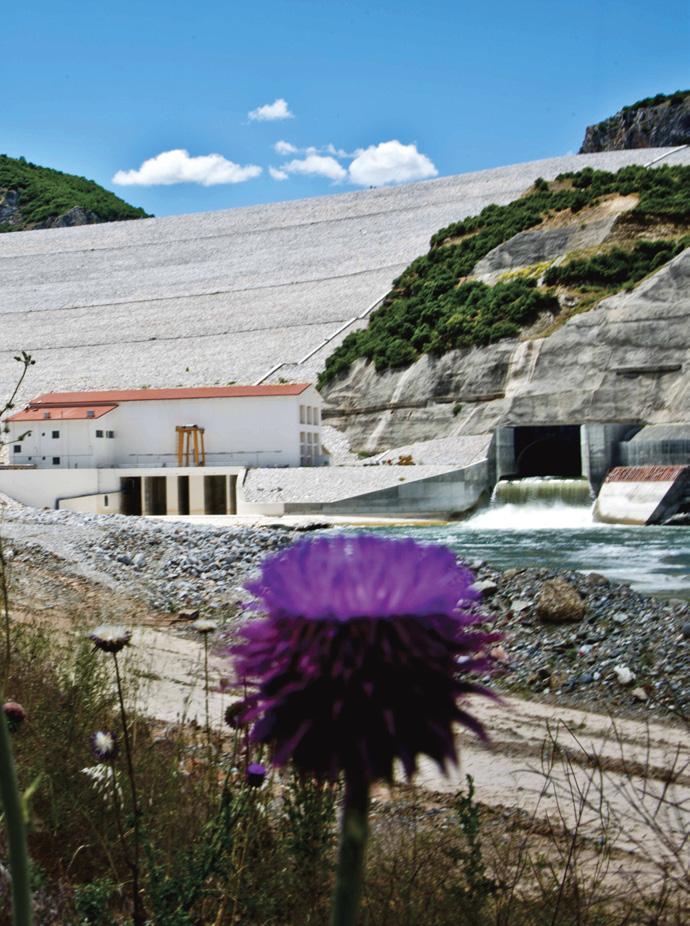 ΕΥΘΥΓΡΑΜΜΙΣΗ ΜΕ ΑΡΧΕΣ