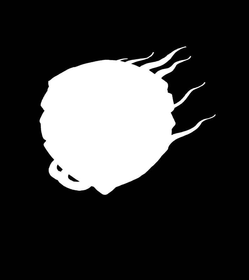 Τηλ.: 25510