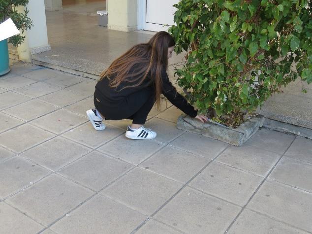 Ιανουαρίου