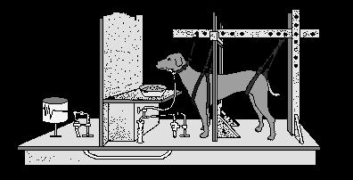 Ο (διάσημος) σκύλος του Pavlov Έκκριση σιέλου κατά την εμφάνιση του