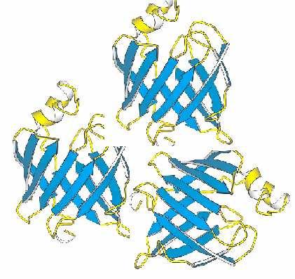 36 uzvojnice od β-nabranih ploča i proteini kod kojih se pravilno izmjenjuju odsječci α- uzvojnica i β-nabranih ploča (αβαβ strukture). 5.1.4.