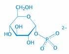 72 c) Reakcija adicije i supstitucije na aldehidnoj skupini. U reakcijama s alkoholima, fenolima, aminima i organskim kiselinama poluacetali prelaze u acetale.