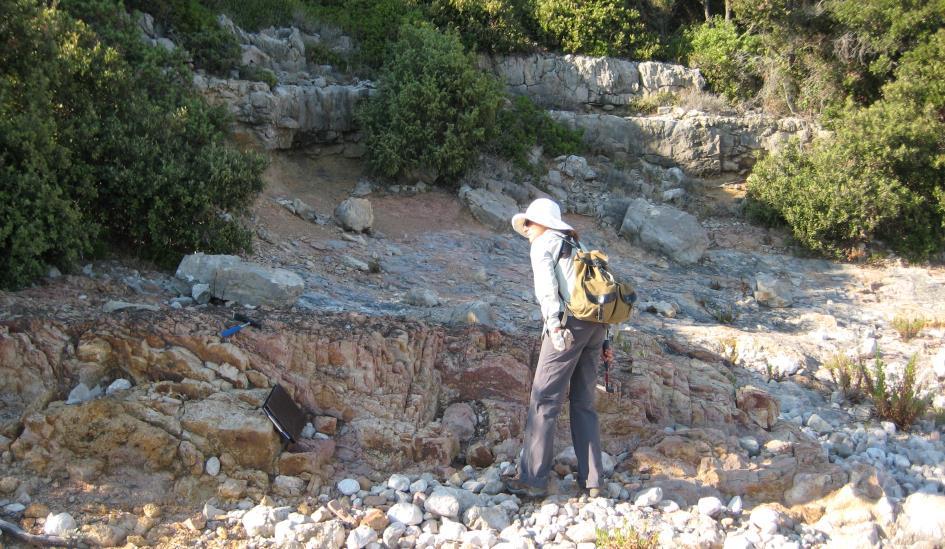 58 su na kontaktu mastrihtskih i paleocenskih (kozinskih) vapnenaca.