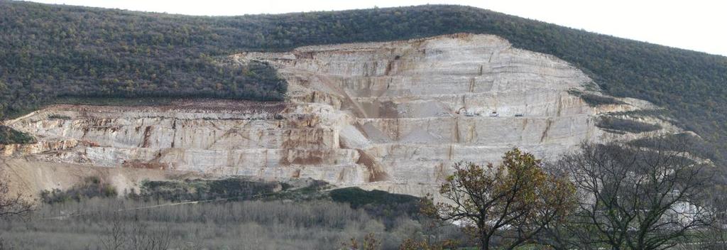 199 Dolina rijeke Raše, šire područje kamenoloma Most Raša sačinjeno je iz vapnenca gornjokredne starosti.