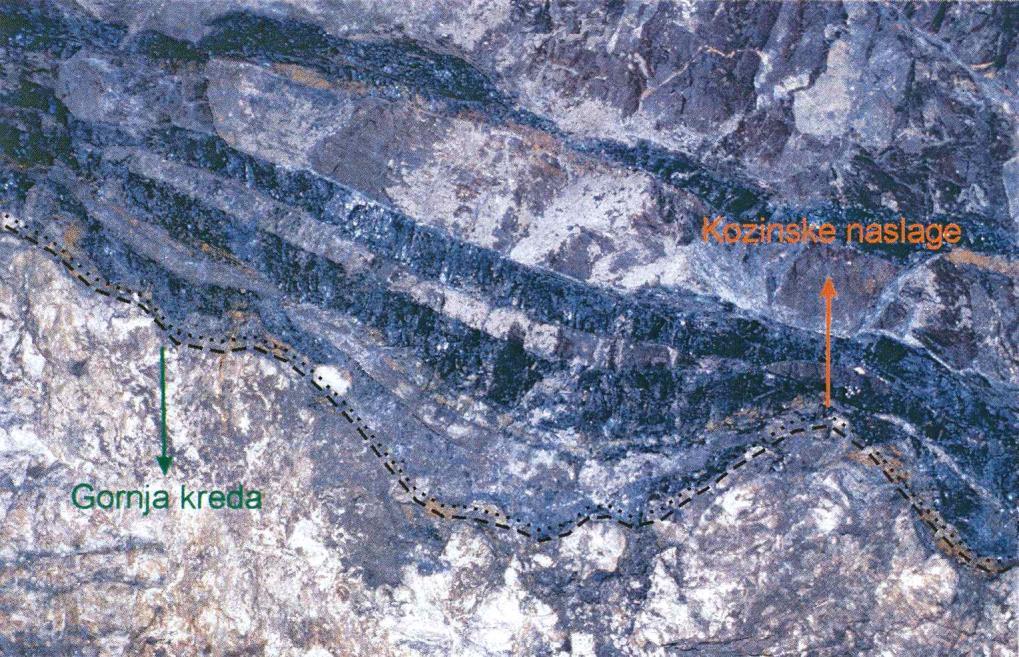 215 Slika 5.4.2. Približno 10-15 cm debeli slojevi ugljena neposredno uz transgresivni kontakt naslaga gornje krede i Kozinskih naslaga (Kuhta, 2004) Pojave i ležišta kamenog ugljena prisutni su u