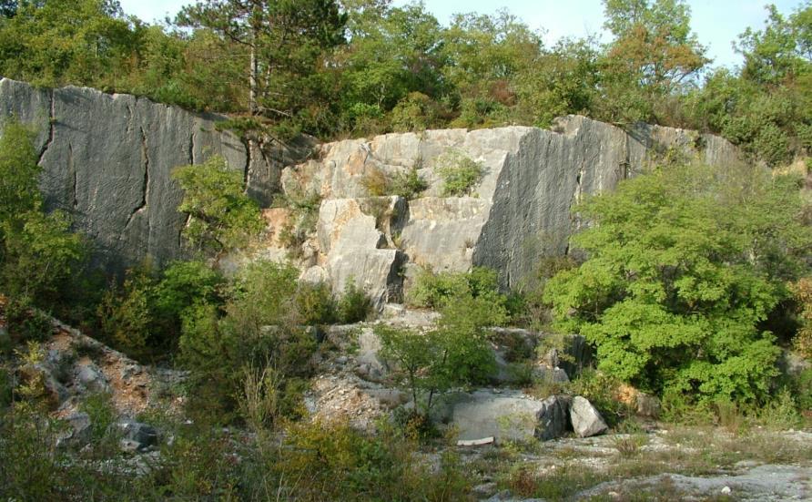 81 Slika 5.3.10. Današnji izgled kamenoloma Marčana I koji je u cenomanskim naslagama formacije Rušnjak. Foto: Matičec, D. i Fuček, L. (2012.) Eksploatacijsko polje je u posjedu firme KAMEN d.d. Pazin iz Pazina.