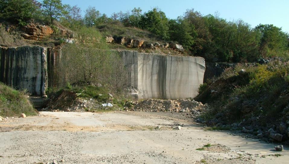 84 Kamenolom je otvoren u vršnom dijelu formacije Kanfanar, tako da je pri vrhu kamenoloma vidljiva dugotrajna emerzija kroz gornji apt i donji alb, te početak taloženja vapnenaca albske starosti
