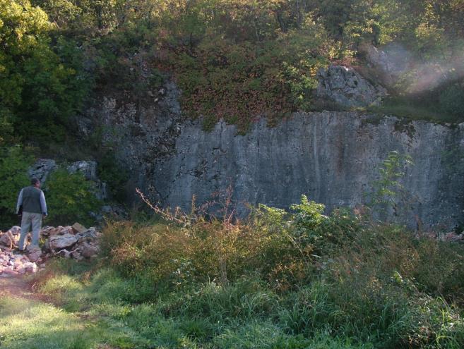90 Ukupne rezerve (Bilančne rezerve 449 888,75 m 3.) prema podacima iz 2010. godine iznose 464 187,14 m 3.