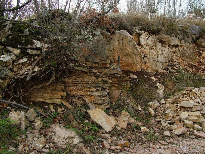 91 Bakši x = 5 417 865; y = 5 008 438 Ležišta ukrasnog kamena zapadno i istočno od ceste Pazin-Žminj, prema dostupnim podacima (iz 1974. god.) dosta su slabo istražena.