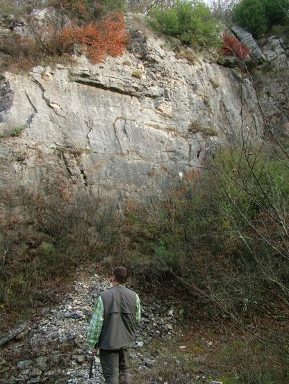 94 Slika 5.3.21. Kamenolom Gadare u cenomanskim vapnencima jedinice Rušnjak. Matičec, D. i Fuček, L. (2012.