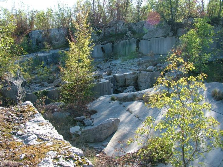 96 Slika 5.3.24. Današnji pogled na kamenolom Istranka gdje se eksploatirao asilinski horizont iz vrha paleogenske litostratigrafske jedinice Foraminiferski vapnenci. Foto: Matičec, D. i Fuček, L.