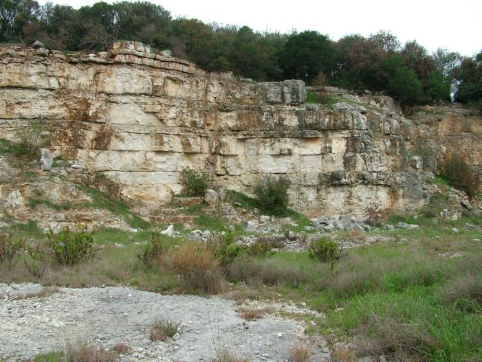 100 Riječ je ponovo o kvalitetnom kamenu Kirmenjak člana. Međutim, stijena je dosta raspucana, a u zapadnom dijelu kamenoloma čak i izrasjedana.