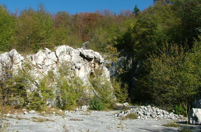 101 Planik x = 54 35 732; y = 49 87 731; Generalni PS = 235/20 Od ceste Gornja Vas - Lanište odvaja se asfaltirani put za Brgudac. Od njega, prema JI vodi makadamski put pod vrh Planika.