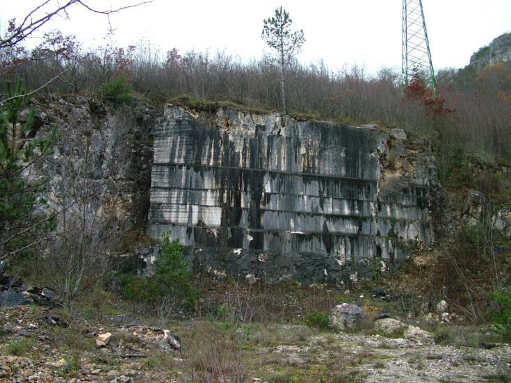 102 Slika 5.3.32. Današnji izgled kamenoloma Ponte Bracano u cenomanskim vapnencima formacije Rušnjak. Foto: Matičec, D. i Fuček, L. (2012.