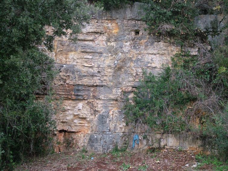 105 Slika 5.3.36. Izdanci vapnenaca donjega kimeridža iz formacije Limski kanal u kamenolomu Valalta. Foto: Matičec, D. i Fuček, L. (2012.).