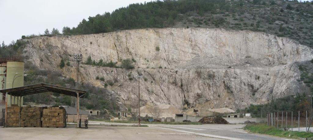 114 - obujmna masa 2 625,00 kg/m 3 - poroznost 2,54 vol % - postojanost na mrazu postojan Mineraloška determinacija organogeni vapnenac Sirovina zadovoljava uvjete za proizvodnju: Drobljenog kamenog