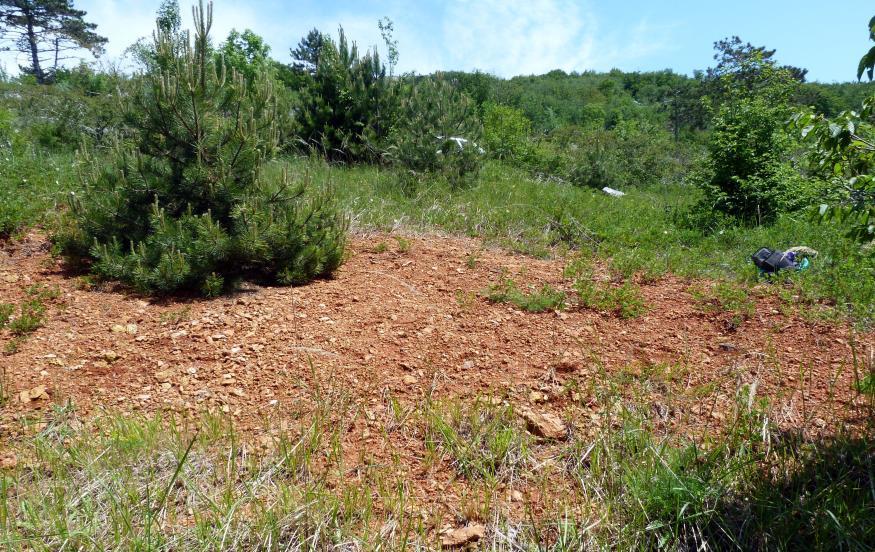 746; x=5015643; pogled prema sjeveru) (foto Z. Peh) Slika 5.2.3. Malo ležište donjopaleogenskih (paleocenskih) boksita na zapadnim obroncima Učke (Mala Učka, y=5436531; x=501363) pogled prema istoku) (foto Z.