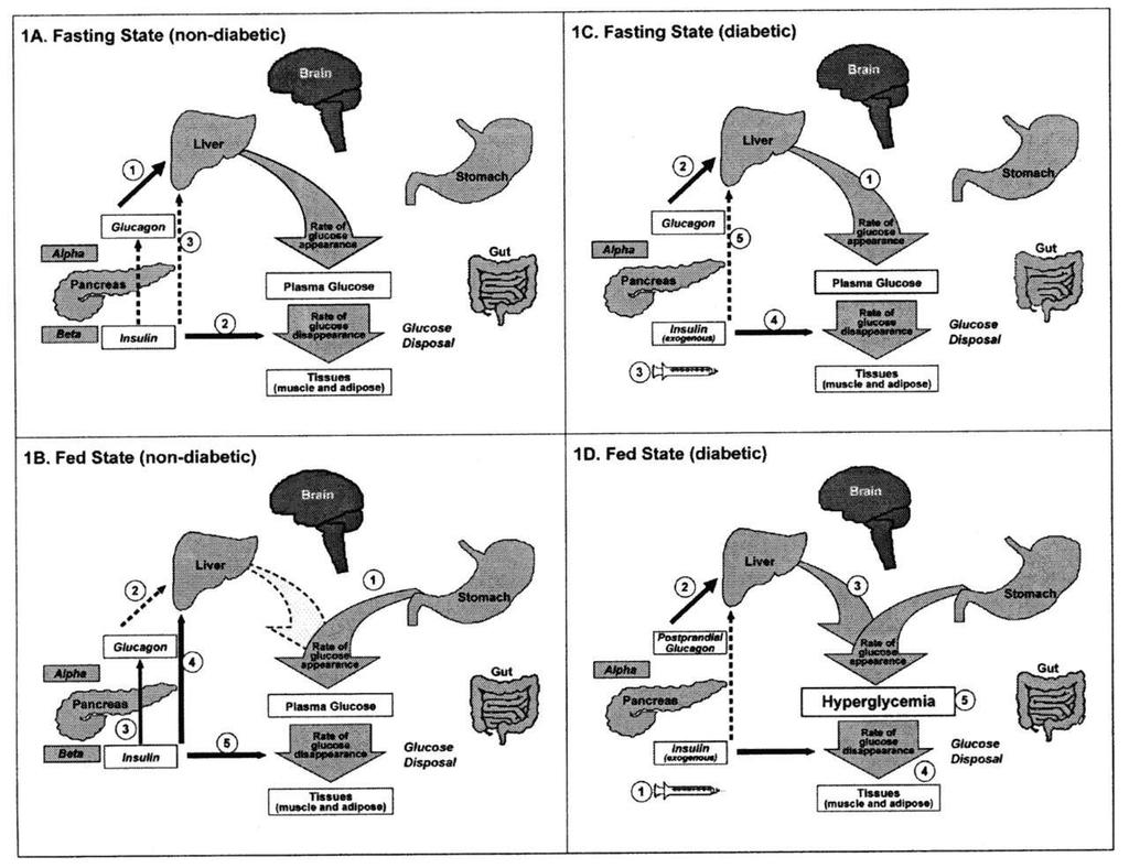 Stephen L. Aronoff et al.