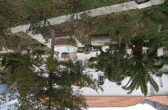 Αµέτρητες αποχρώσεις του πράσινου και στο βάθος η συνοικία Παναγιά Numerous shades of