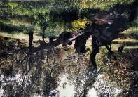 village It is a village with a lot of cultivations, mainly of olive trees