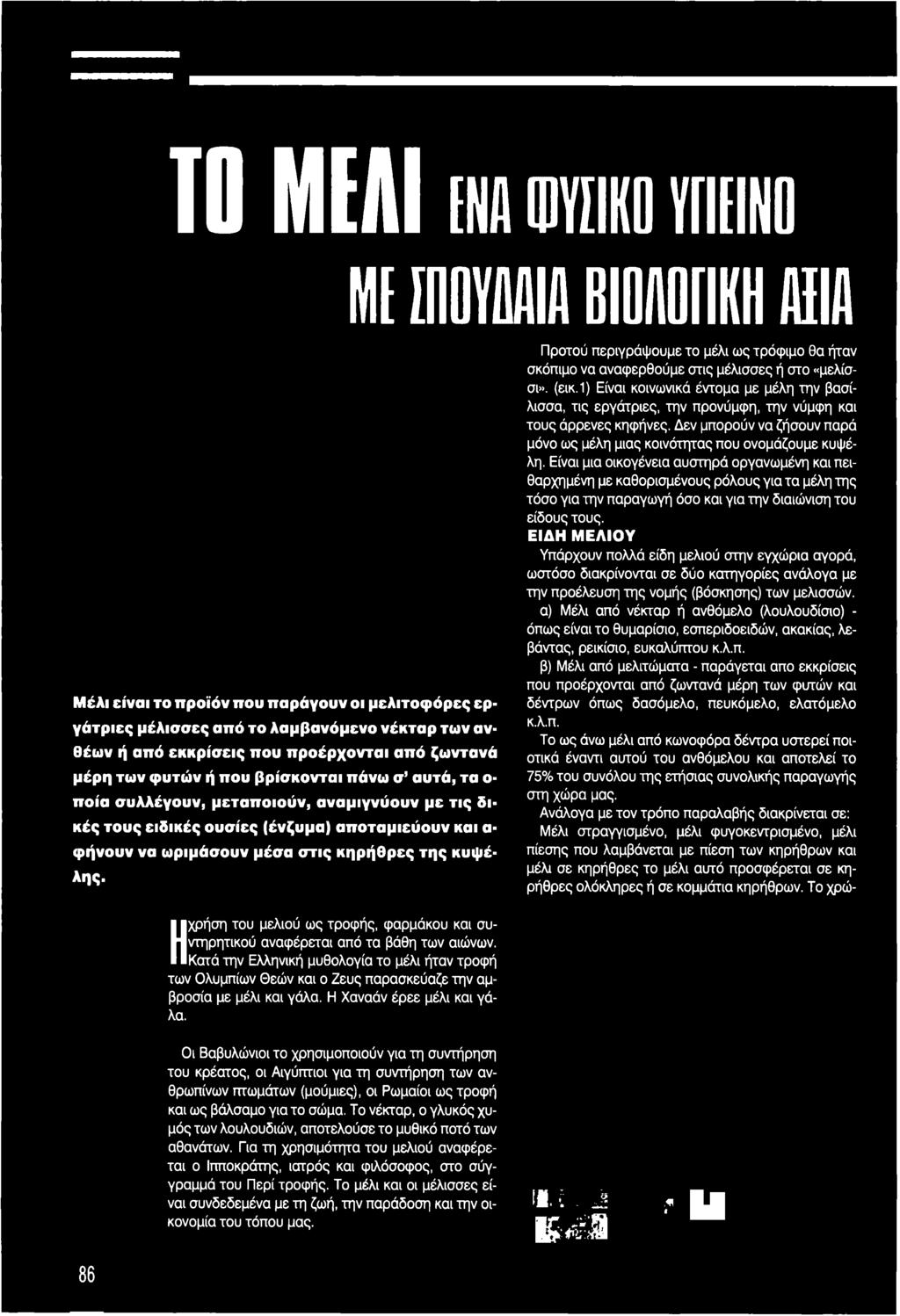 Είναι μια οικογένεια αυστηρά οργανωμένη και πειθαρχημένη με καθορισμένους ρόλους για τα μέλη της τόσο για την παραγωγή όσο και για την διαιώνιση του είδους τους.