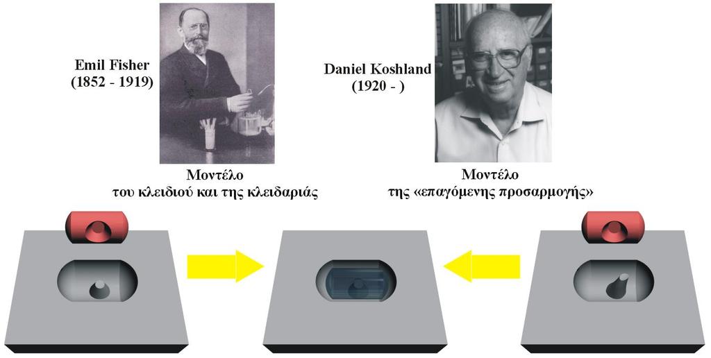 Μοριακή