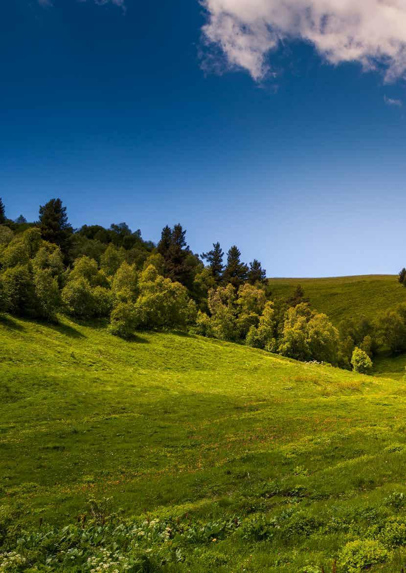 Mynute Boiler Green Pravi izbor za svaku potrebu Gama MYNUTE BOILER GREEN je sukladna s ErP Gama MYNUTE BOILER GREEN je sukladna Europskim Erp pravilnicima, koji su stupili na snagu 26.09.2015.